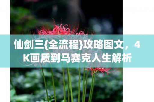 4K画质到马赛克人生解析图片