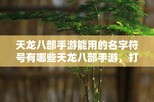 天龙八部手游能用的名字符号有哪些天龙八部手游图片