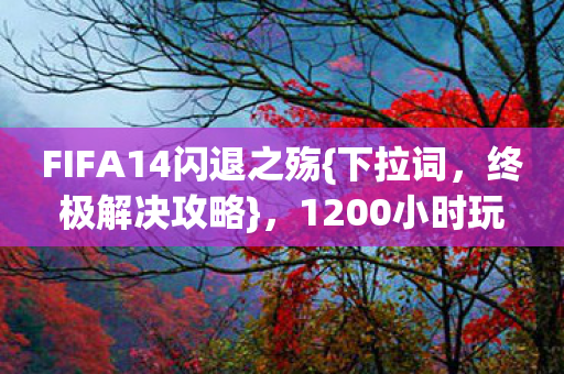 FIFA14闪退之殇图片