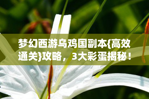 梦幻西游乌鸡国副本图片