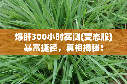 爆肝300小时实测图片