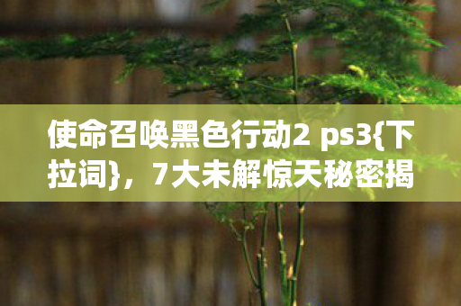 使命召唤黑色行动2 ps3图片