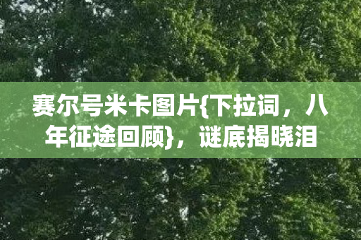 谜底揭晓泪目无声图片