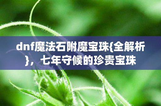 dnf魔法石附魔宝珠图片