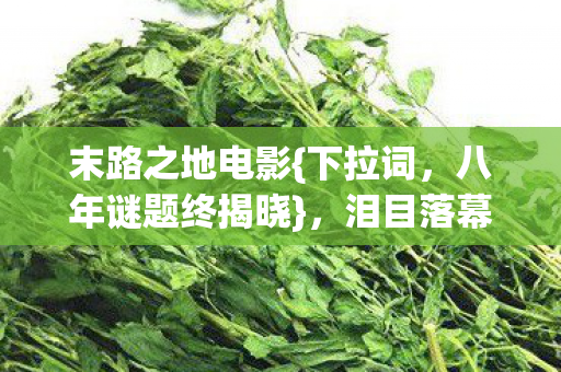 八年谜题终揭晓图片