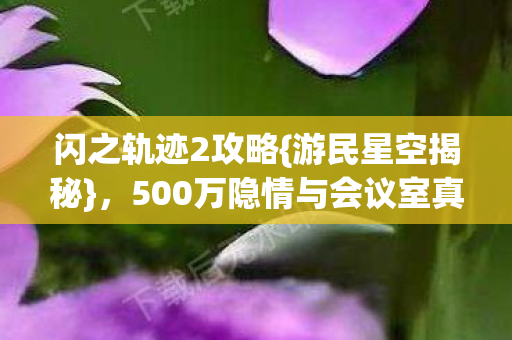500万隐情与会议室真相图片