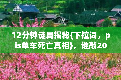 pis单车死亡真相图片