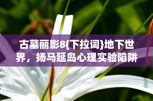 扬马延岛心理实验陷阱解析图片