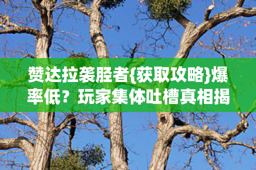 玩家集体吐槽真相揭秘图片