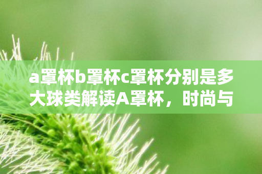 a罩杯b罩杯c罩杯分别是多大球类解读A罩杯图片
