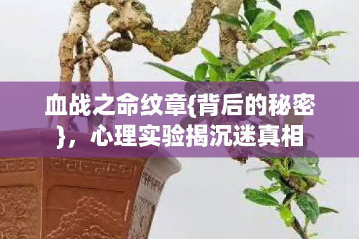 心理实验揭沉迷真相图片