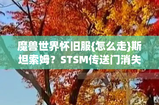 STSM传送门消失之谜图片