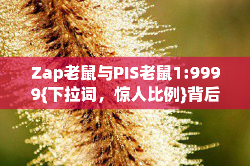 Zap老鼠与PIS老鼠1图片