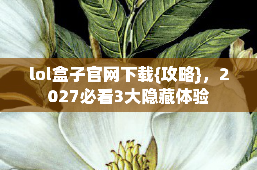 2027必看3大隐藏体验图片