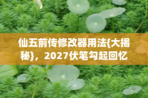 2027伏笔勾起回忆图片