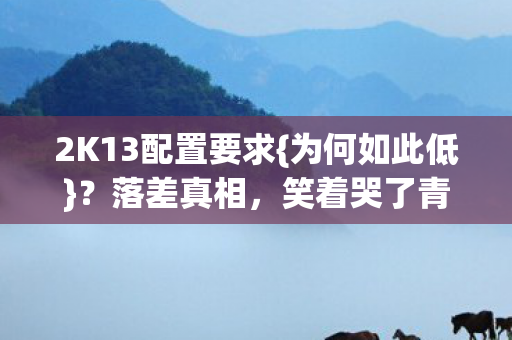 2K13配置要求图片