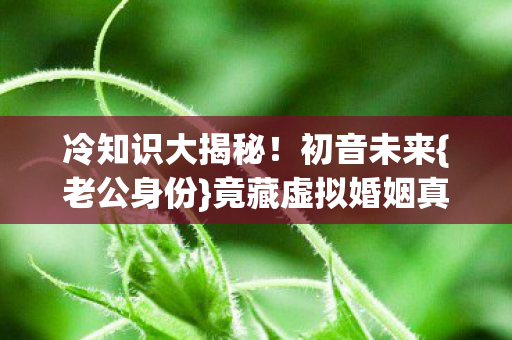 竟藏虚拟婚姻真相图片