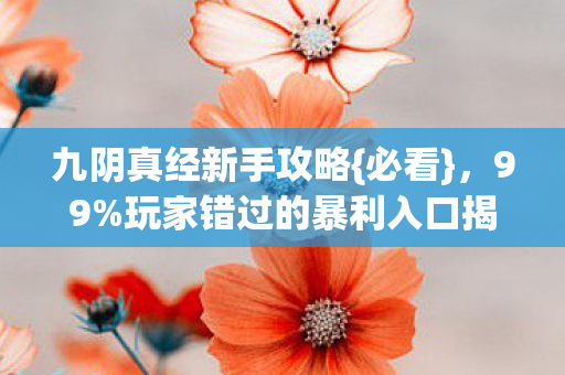 玩家错过的暴利入口揭秘图片