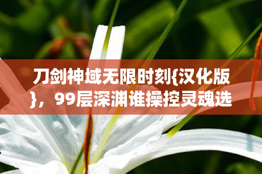 99层深渊谁操控灵魂选择图片