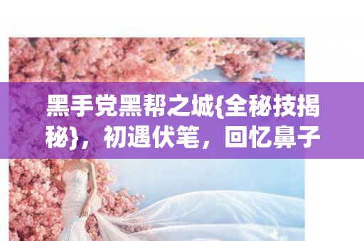 黑手党黑帮之城图片