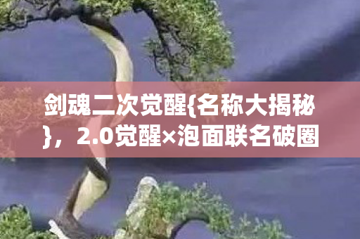 泡面联名破圈啦图片