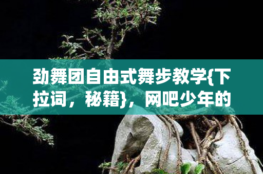 劲舞团自由式舞步教学图片