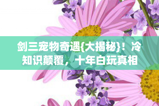 剑三宠物奇遇图片