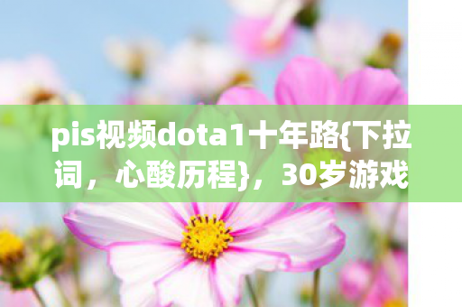 pis视频dota1十年路图片