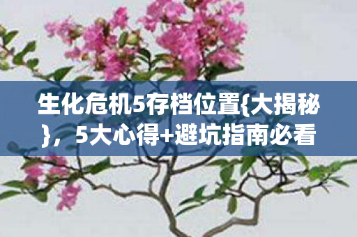 生化危机5存档位置图片
