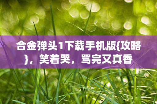 合金弹头1下载手机版图片