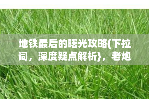 地铁最后的曙光攻略图片