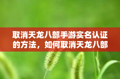 取消天龙八部手游实名认证的方法图片