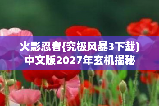 中文版2027年玄机揭秘图片