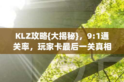 玩家卡最后一关真相图片