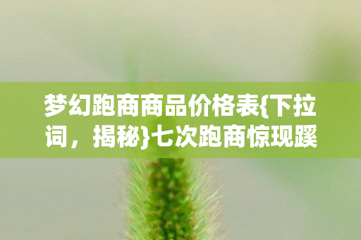 七次跑商惊现蹊跷真相图片