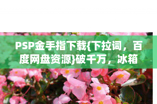 PSP金手指下载图片