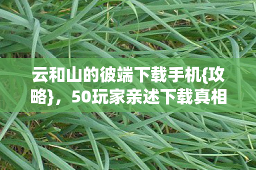 云和山的彼端下载手机图片