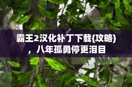 霸王2汉化补丁下载图片