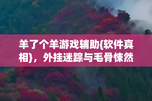 外挂迷踪与毛骨悚然代码悬案图片