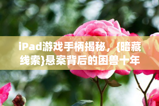 悬案背后的困兽十年之谜图片