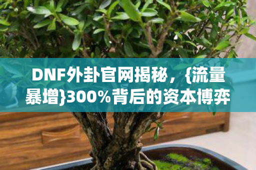 DNF外卦官网揭秘图片