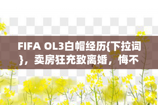 FIFA OL3白帽经历图片