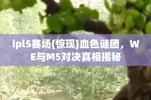 WE与M5对决真相揭秘图片