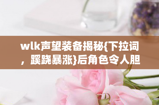 wlk声望装备揭秘图片