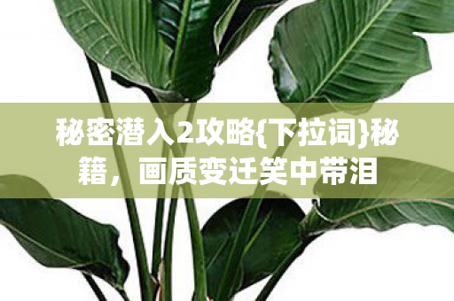 画质变迁笑中带泪图片
