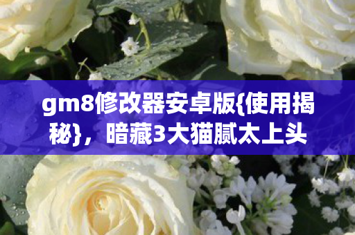 gm8修改器安卓版图片