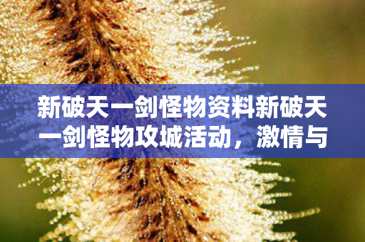 新破天一剑怪物资料新破天一剑怪物攻城活动，激情与策略的完美碰撞，新破天一剑，怪物攻城活动，激情策略碰撞盛宴