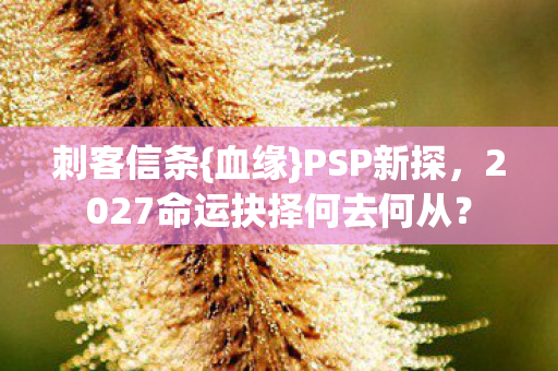 2027命运抉择何去何从图片