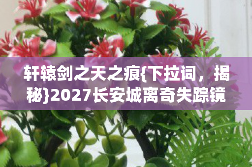 2027长安城离奇失踪镜中谜图片
