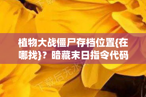 植物大战僵尸存档位置图片